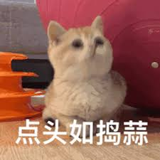 在韓國怎麼選到靠譜的皮膚科？插图1