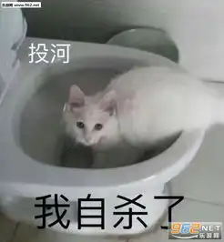 在韓國怎麼選到靠譜的皮膚科？插图3